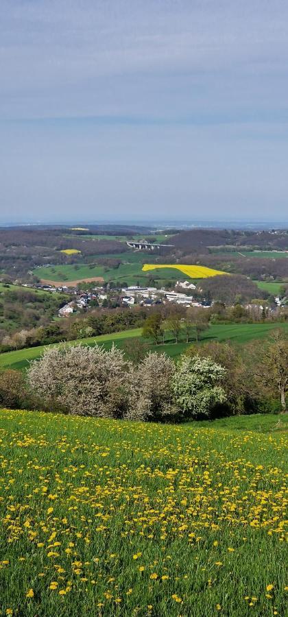 Gemuetliche Auszeit In Der Eifel Appartement Mechernich Buitenkant foto